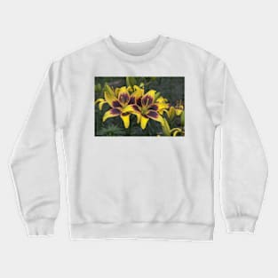 850_6058 Crewneck Sweatshirt